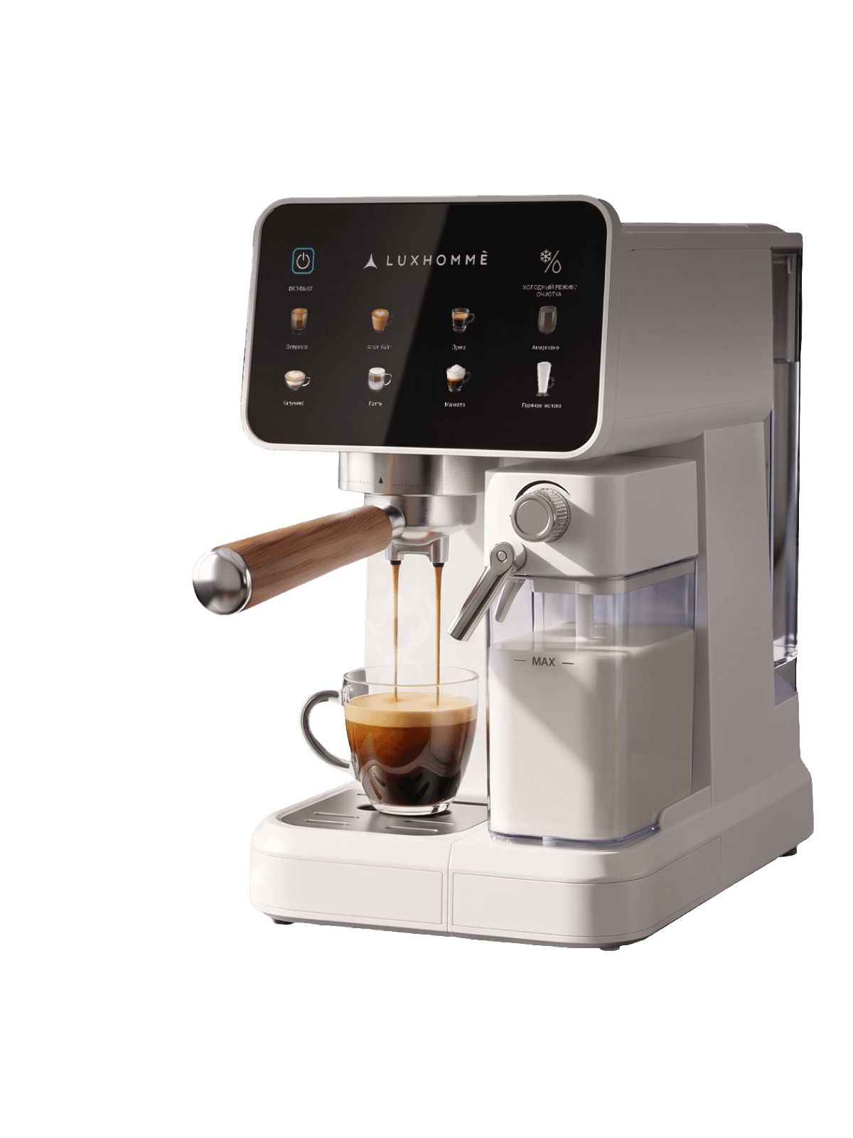 Кофемашина рожковая Luxhommè Caffio Professional